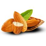 Premium Iranian Almonds Wholesale – Best Prices & Bulk Supply