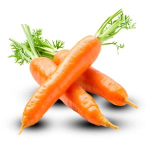 Wholesale Iranian Carrots for Export – Fresh, Quality at Best Price