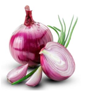 Bulk Onion Export Supplier – Premium Onions at Best Wholesale Prices