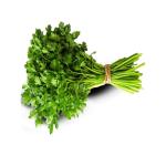 Premium Iranian Dried Parsley for Export | High-Quality, Nutrient-Rich & Competitive Prices