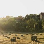 Supplying quality Straw and Hay for domestic and export customers