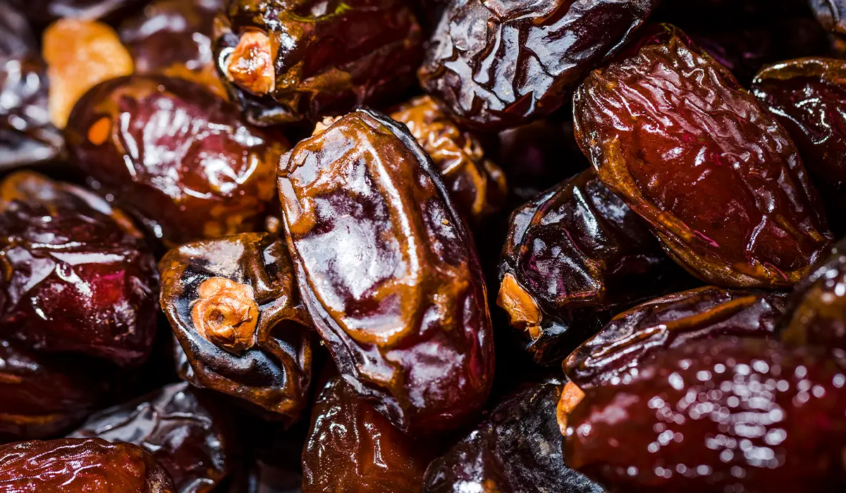 Iranian Dates from the Abrisham Road (13)