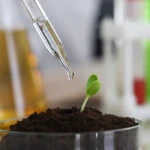 All-Purpose Natural Liquid Fertilizer Amino Acids Buy Now In The Wholesale