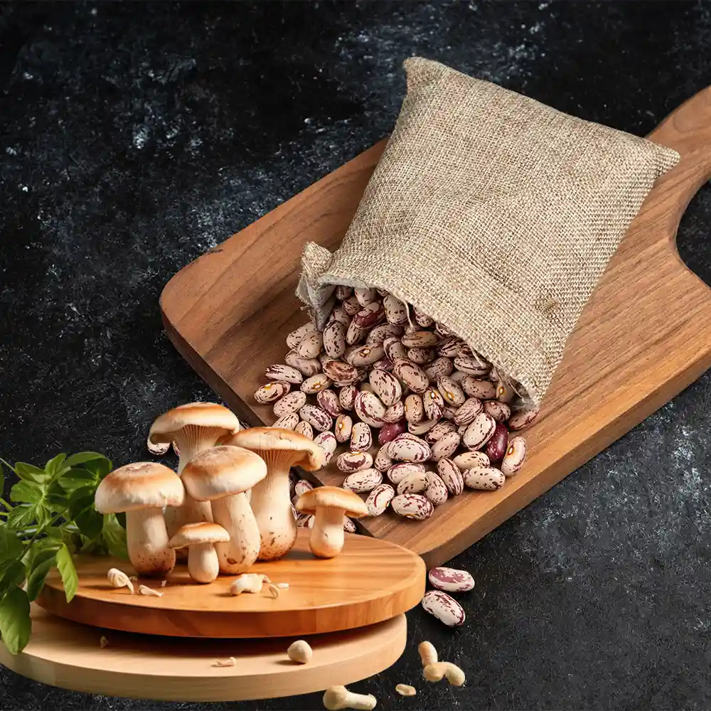 Canned Mushrooms with Beans Order Fulfillment Wholesale in Iran