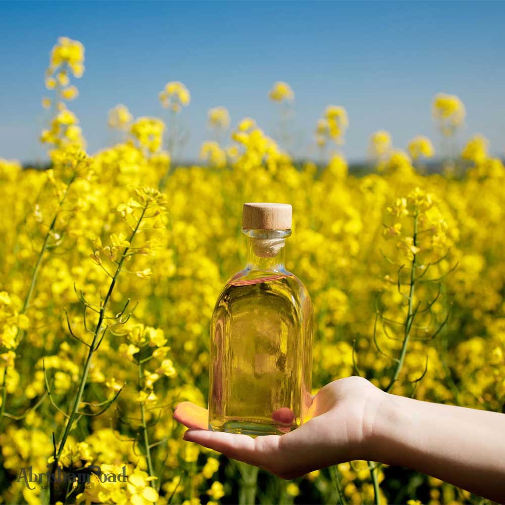 Canola Oil, Pure Refined Oil High-Quality Distributor in Bulk Iran