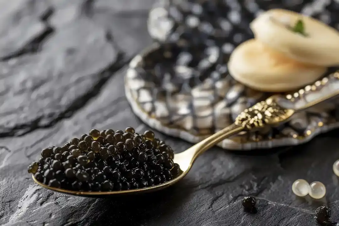 caviar-dimoned-Iranian-Caviar-Best-Wholesale