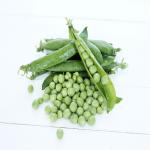 Canned Green Peas 380g in Iran For Export In The Best Price