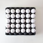 Fresh Eggs Ready to Supply In Wholesale