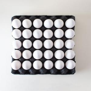 Fresh Eggs Ready to Supply In Wholesale