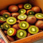 Iranian fresh Green Kiwi