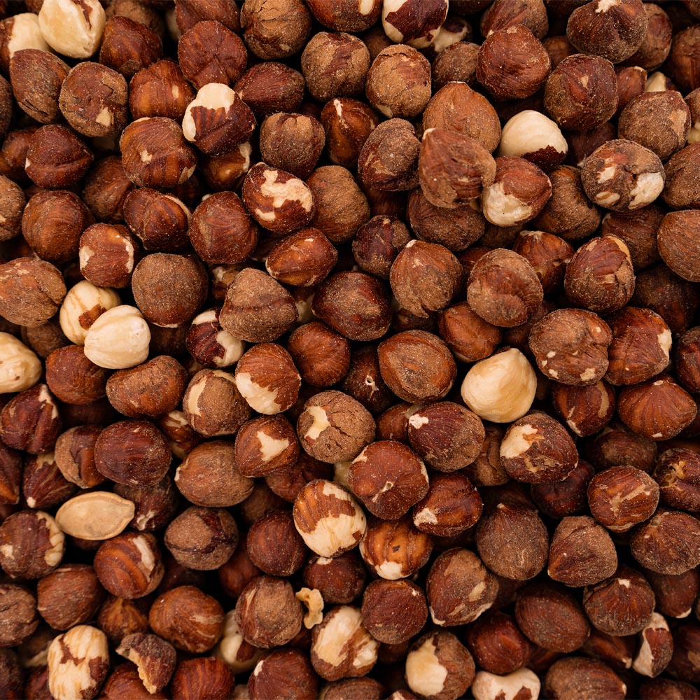 Persian Hazelnuts Fresh Wholesale Supplier Iran