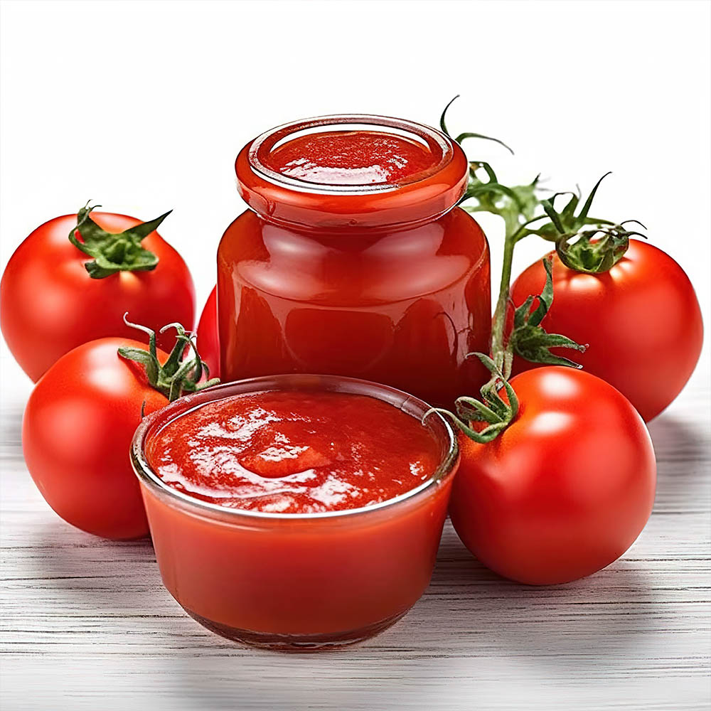 Tomato Paste, Iran Bulk Exporters in World