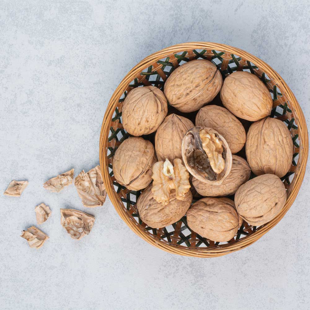 Walnuts Kernel Persian Wholesale Supplier Iran