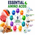 Essential Amino Acids: Benefits, Sources, Uses & Global Market Trends