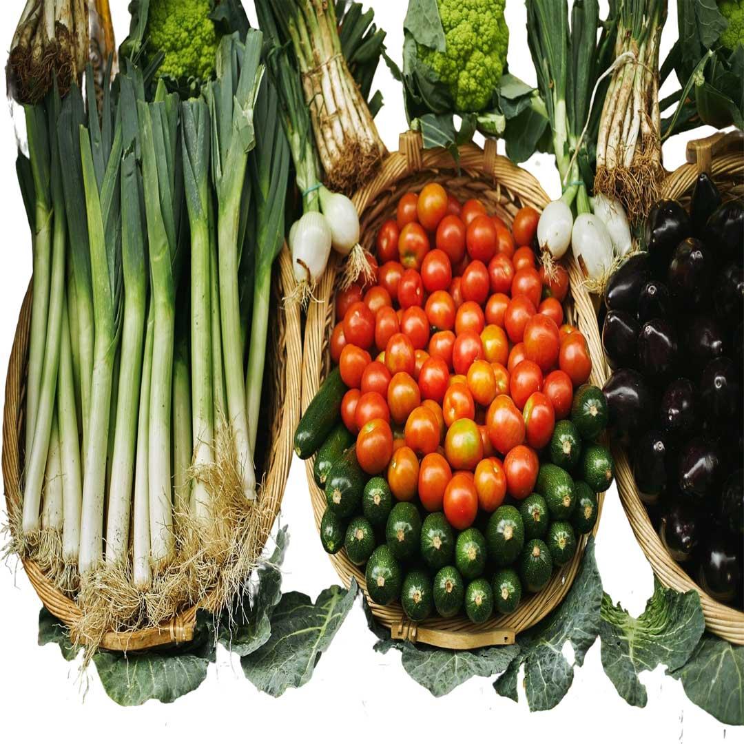 Iran Agricultural & Food Exports to Qatar | B2B Platform