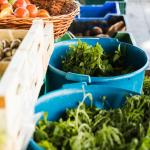 Iran–Kuwait Agricultural Exports: Boosting Trade Through B2B Platform