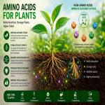 What Are Amino Acids for Plants? Benefits & Nutrient Uptake