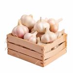 Bulk Iranian Garlic For Wholesale At Best Prices