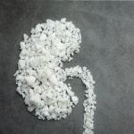 Iranian Urea Prilled – Ready for Bulk Export In Best Price