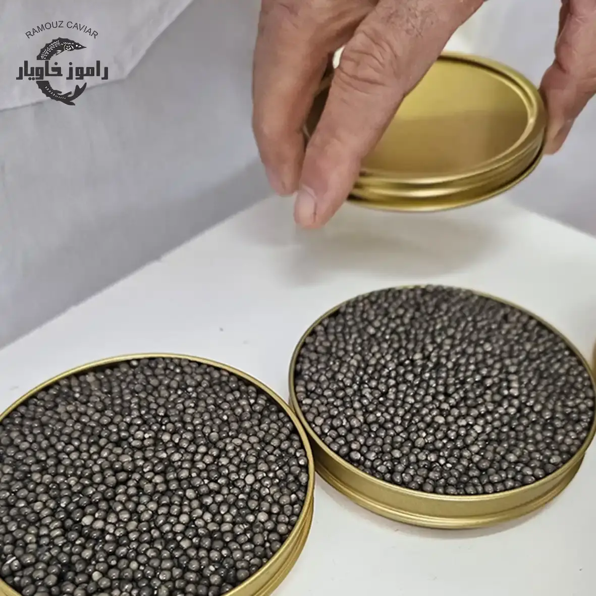 iranian-caviar-wholesale-12.webp