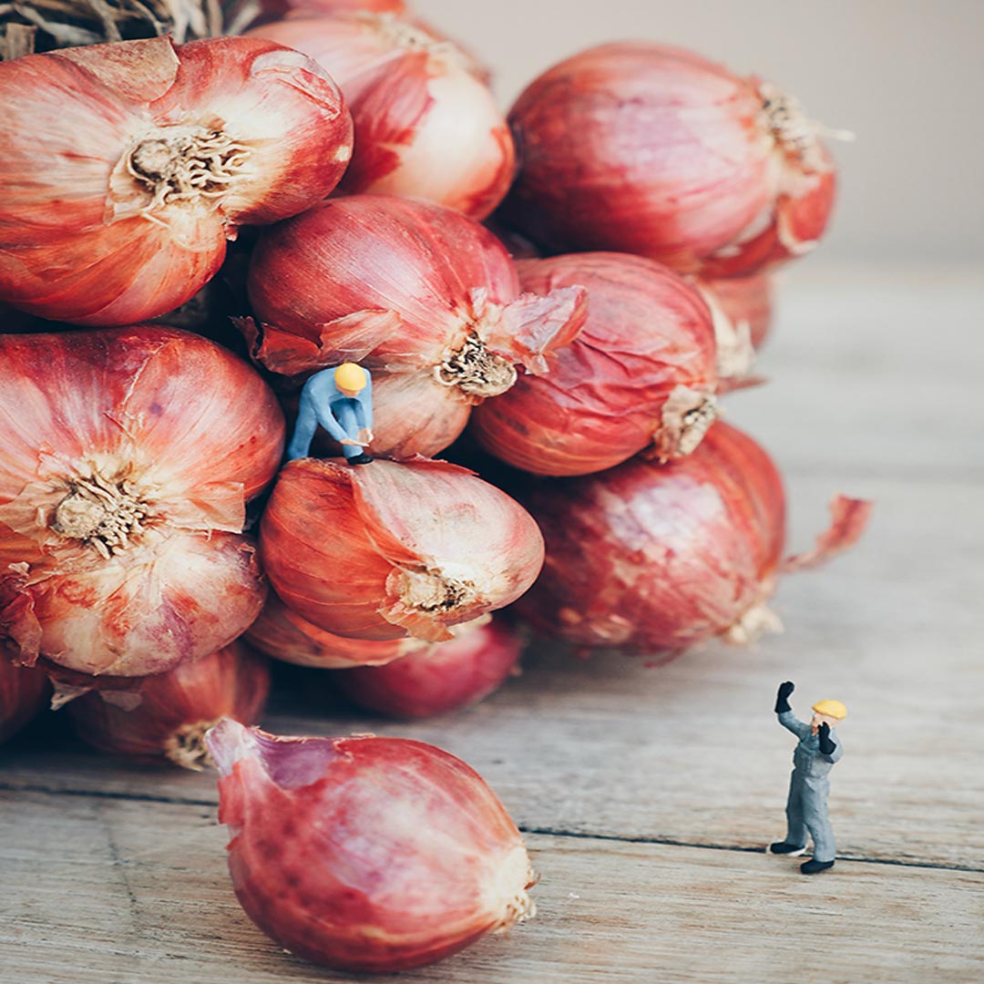 onion-business-layers-in-the-international-b2b-platform-of-abrisham-road.jpg