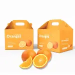 Iranian Orange In Bulk WholeSale & Supplier In Iran