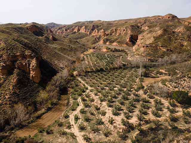 revealing-persian-bountiful-agricultural-landscape-1.jpg