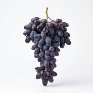 Premium Black Seedless Grapes | Bulk Export & Wholesale Supplier