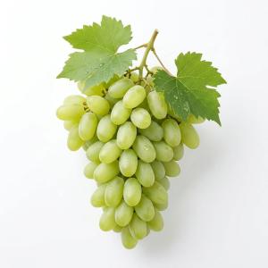 Fresh Green Grapes for Export | Wholesale & Affordable Prices