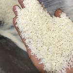 Iranian Lanjan Premium Rice Supplier