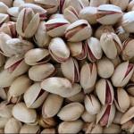 Premium White Pistachios for Export | High-Quality Nuts at Best Price