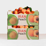 Peach Export Supply for Wholesalers in Iran Order Now