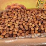 Zahedi & Shahani Dates Wholesale In Iran & Supplier