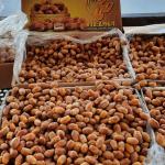 Zahedi & Shahani Dates Wholesale In Iran & Supplier