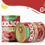 Buy High Quality Of Tomato Paste Can (400GR) Wholesale In Iran Premium Quality