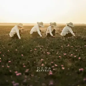 Desa saffron