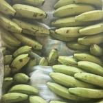 Pakistan Bananas for Wholesale in Iran