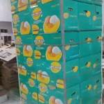 Egg Wholesale Suppliers and Buy Eggs in Iran