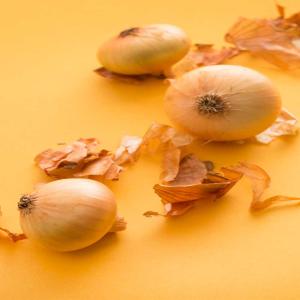 Buy Premium Dried Onion (پیاز خشک) in Bulk – Best Prices High Quality
