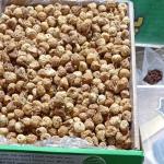 Iranian dried figs For Export at Best Wholesale Price