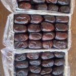 Premium Mazafati Dates Wholesale In Iran