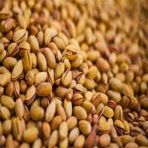 Bulk Pistachios Wholesale | Premium Quality at Competitive Prices