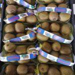 Premium Export-Grade Kiwi, Nutritious & Affordable for Global Markets
