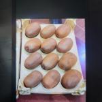 Premium Iranian Kiwi for Export – Wholesale Prices