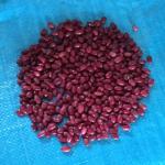 Iranian Red Beans Wholesale – High Quality at Competitive Prices