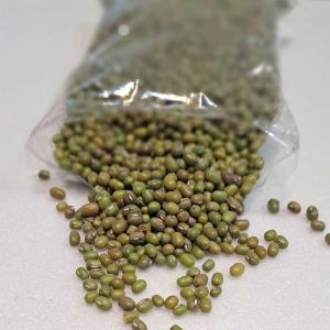 Organic Uzbek and Afghan Green Mung Beans in 25g, 50kg