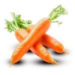 Wholesale Iranian Carrots for Export – Fresh, Quality at Best Price