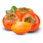 Premium Iranian Dried Persimmons for Export – Nutrient-Rich, Sweet, Wholesome Snack