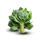 Wholesale Dried Spinach Export – Nutrient-Rich & Affordable Bulk Supply from Iran