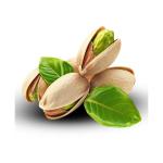 Pistachios Wholesale – Akbari, Ahmad Aghaei, Kalle Ghouchi & Fandoghi